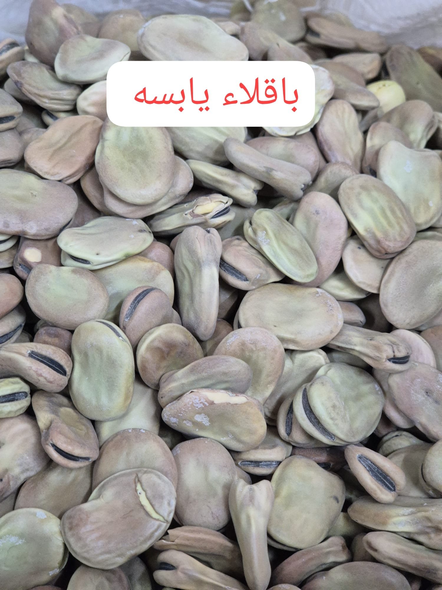 Irakische Trocken Favabohnen 20 kg